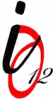 ISFT № 12